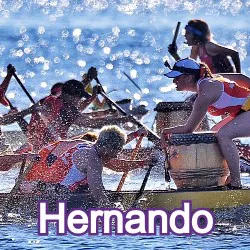 Hernando Florida Homes for Sale