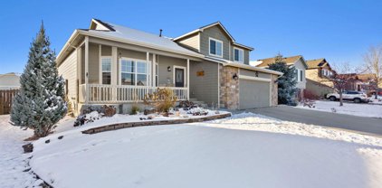 211 Windflower Way, Severance