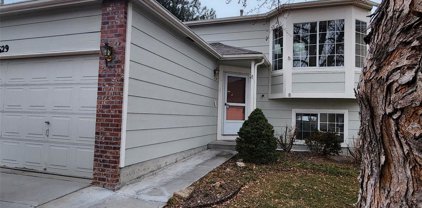 9629 Cordova Drive, Highlands Ranch