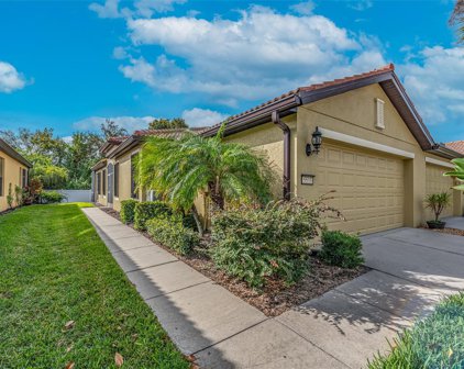 5533 Sunset Falls Drive, Apollo Beach