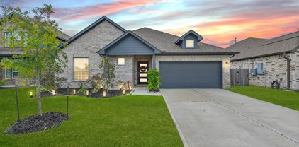 23218 Bordeaux Drive, Alvin