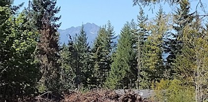 2702 NE Dewatto Road, Tahuya