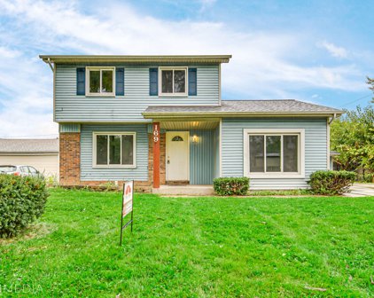 169 Balmoral Drive, Bolingbrook