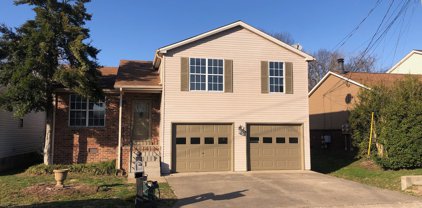 113 Edgehill Ln, Hendersonville