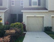 8851 Turnstone Haven Place, Tampa image
