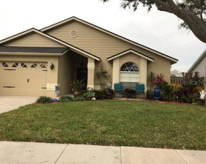 3620 103rd Avenue N, Clearwater