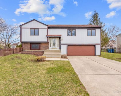 317 Rosecrans Court, Bartlett