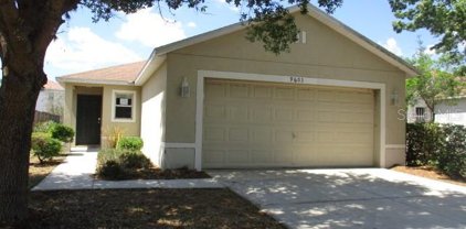 9603 Maxson Drive, Land O' Lakes
