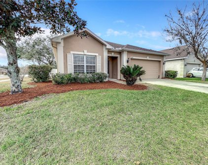 6023 Desert Peace Avenue, Land O' Lakes