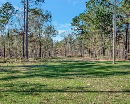 1116 Palmer Ivy Road, Huntington