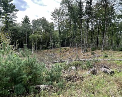 8.382 Acres TOWNLINE ROAD, Wisconsin Rapids