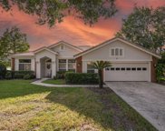 17821 Green Willow Drive, Tampa image
