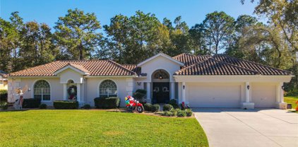 31 Seagrape Street, Homosassa