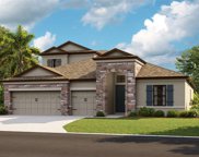 12873 Tortoise Shell Place, Riverview image