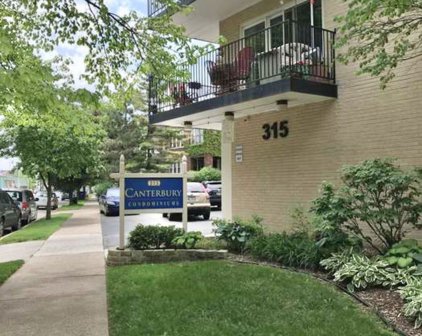 315 Des Plaines Avenue Unit #203, Forest Park