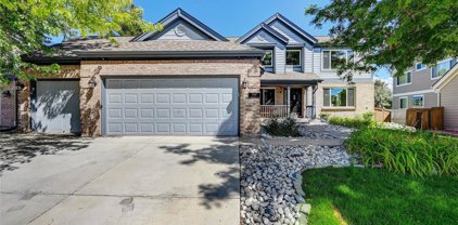 9288 S Canyon Wren Court, Highlands Ranch