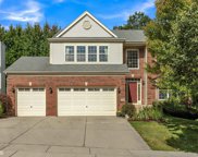 106 Nettle Lane, Streamwood image