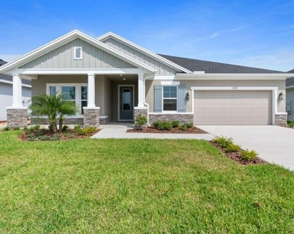 31569 Westbury Estates Avenue, Wesley Chapel