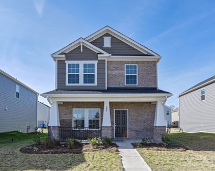 223 Cedar Knoll  Circle, Pineville