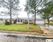 1411 & 1399 US Highway 59 N Highway, Goliad image