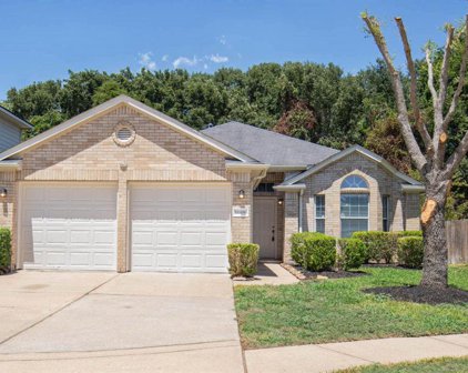 16406 Pademelon, Sugar Land