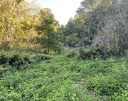 East Fork Road, Sylva image