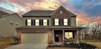 1562 Trentwood  Drive, Fort Mill