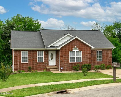 187 Meadow Park Ct, Mt Washington