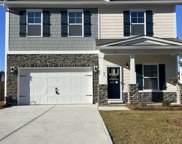 455 Griffon Drive, Chapin image