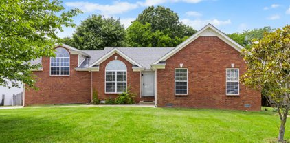 147 Observatory Dr, Clarksville