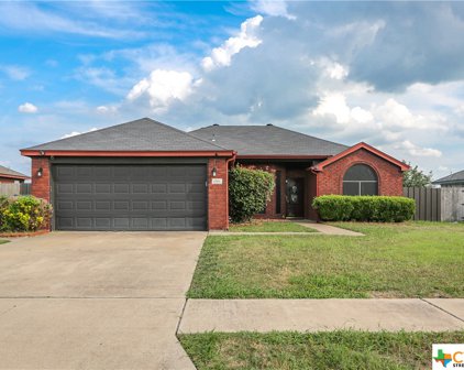4508 Steamboat Springs Dr. Drive, Killeen
