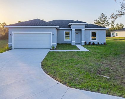 143 Violet Court, Kissimmee