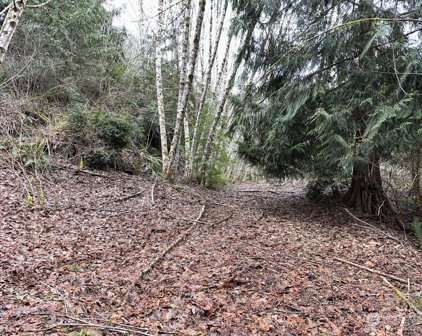 61 E Woods Place, Belfair