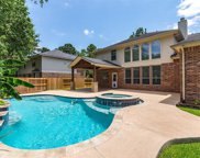 17306 Coronado Park Lane, Humble image
