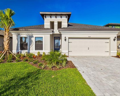34167 Evergreen Hill Court, Wesley Chapel