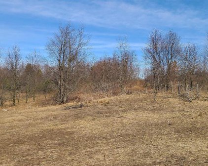 W Buchanan, Shelby Twp