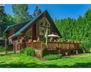 40011 NE 221ST AVE, Amboy image