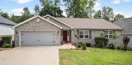 9852 Chesney Hills Lane, Knoxville