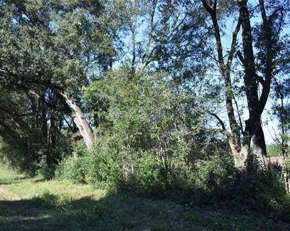 000 Sw Cr 241, Archer