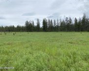 NNA Yellow Pine, Athol image
