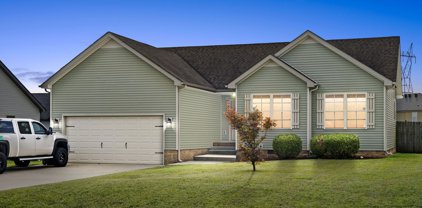 596 Tracy Ln, Clarksville