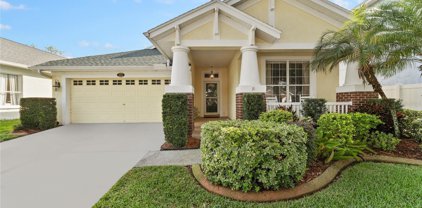 5004 Torrey Hills Lane, Lutz