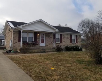 151 Grazing Trace Ct, Mt Washington