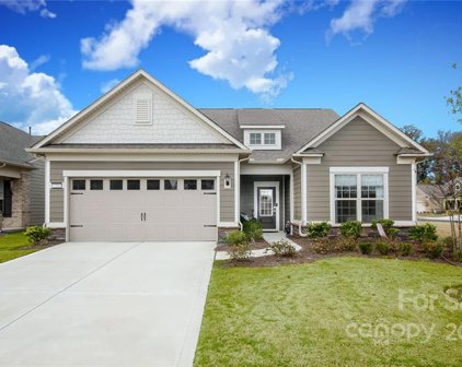 5206 Sweet Fig  Way, Fort Mill