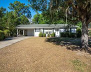 1427 Crestview Drive, Mount Dora image