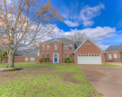 6320 Fairway Hill Cv, Bartlett