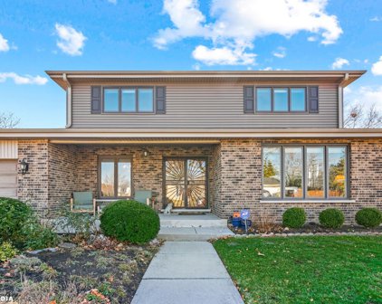 1005 E Falcon Drive, Arlington Heights