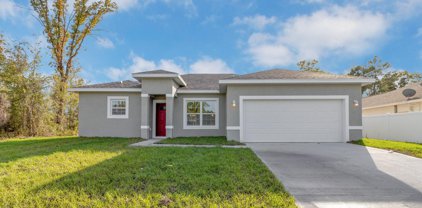 16776 Sw 17th Avenue, Ocala