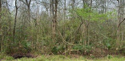 TBD W Essex Drive, Conroe