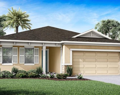 904 Honey Petal Lane, Deland